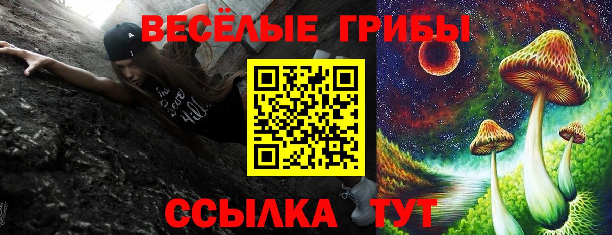 Борисоглебск  Галлюциногенные грибы Psilocybine cubensis  Вход с VPN  Псилоцибиновые грибы прущие грибы 